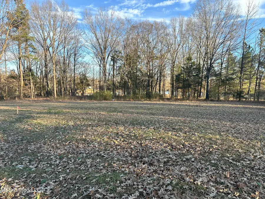 Douglas Rd, Hernando, MS 38632 - Image #2