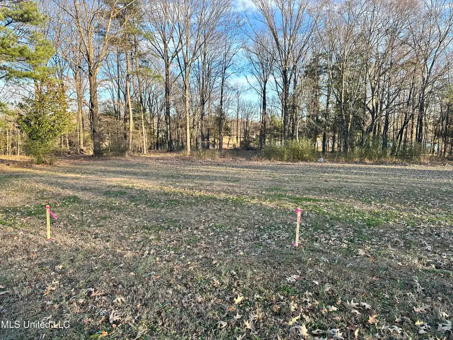 Douglas Rd, Hernando, MS 38632 - Image #3