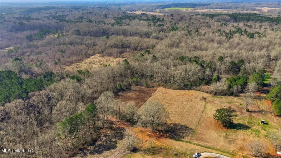 0 Jones Lane, Pelahatchie, MS 39145 - #2