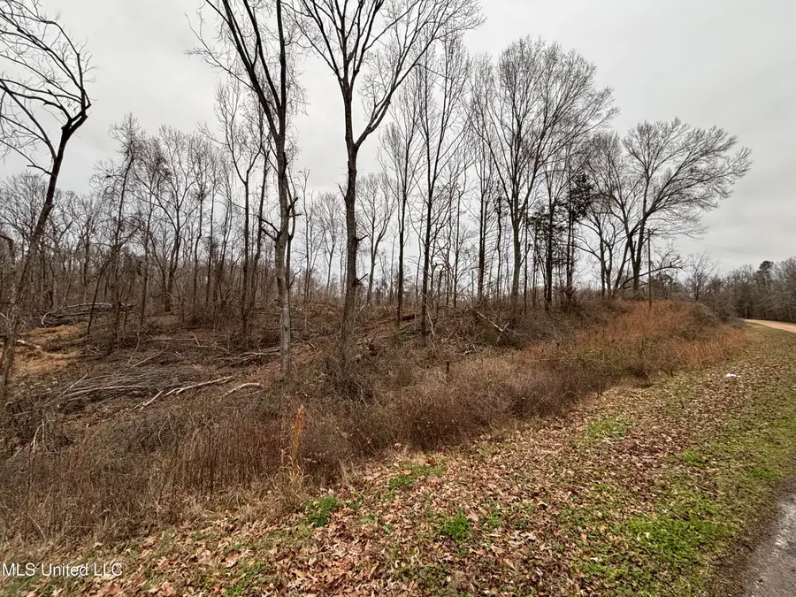 Old Highway 49, Yazoo City, MS 39194 - #2