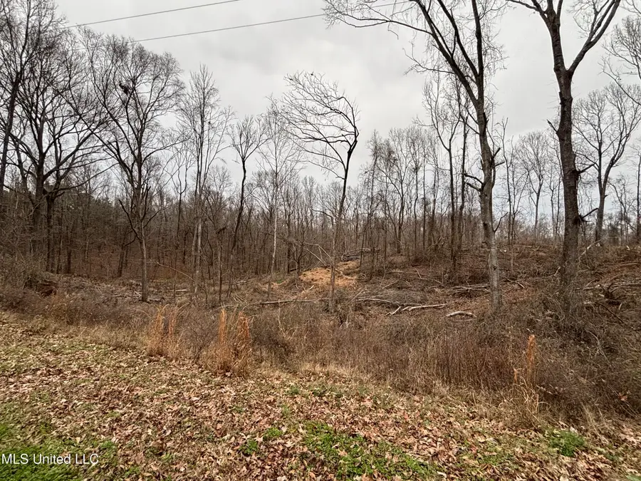 Old Highway 49, Yazoo City, MS 39194 - #3