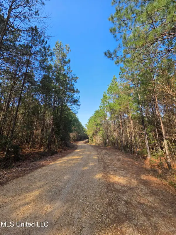 0 Wildwood Trail, Meadville, MS 39653
