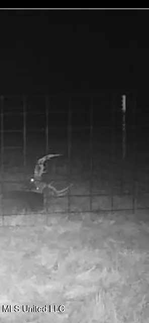 3373 W Highway 24, Woodville, MS 39669 - #2