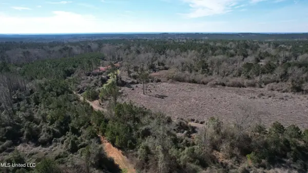 Crooked Creek Rd, New Hebron, MS 39140