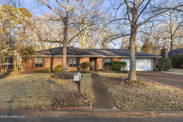 102 Sunline Drive, Brandon, MS 39042