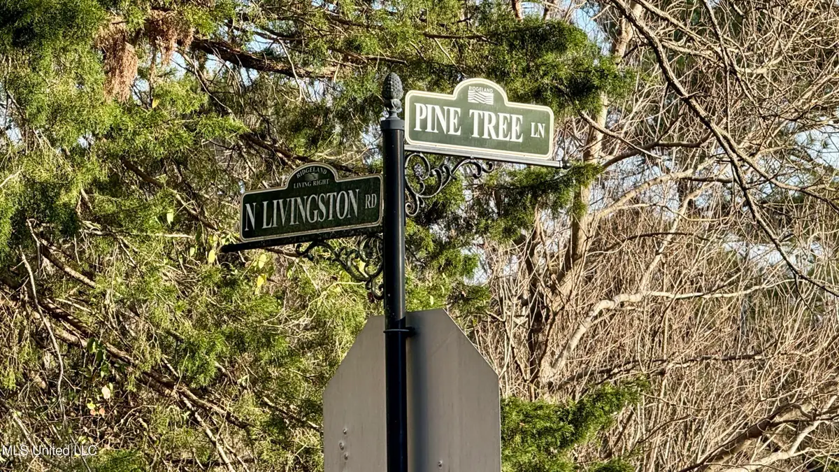 0 N Livingston Road, Ridgeland, MS 39157 - Image #1