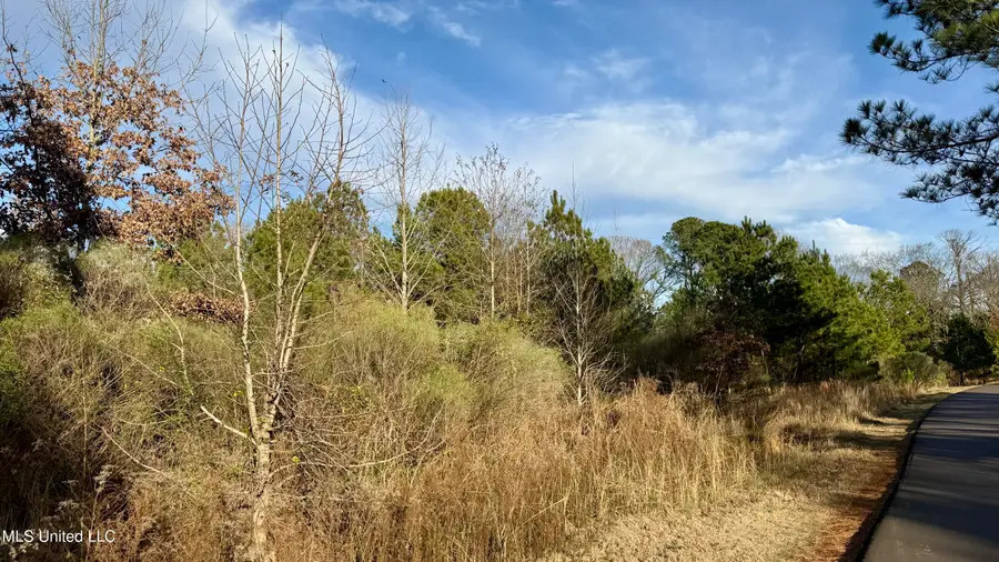 0 N Livingston Road, Ridgeland, MS 39157 - Image #3