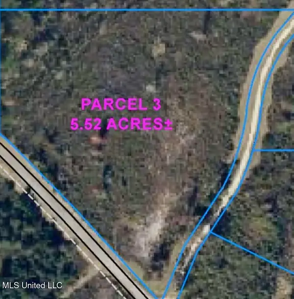 Parcel 3 R Thompson Road, Lumberton, MS 39455