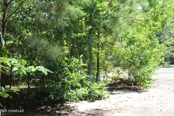 15.4 Acres Lloyd Eubanks Road, Lucedale, MS 39452