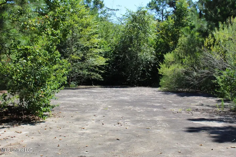 15.4 Acres Lloyd Eubanks Road, Lucedale, MS 39452 - #2