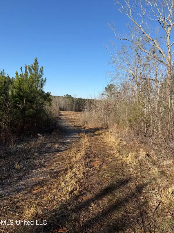 5547 Rocky Point Road, Carthage, MS 39051