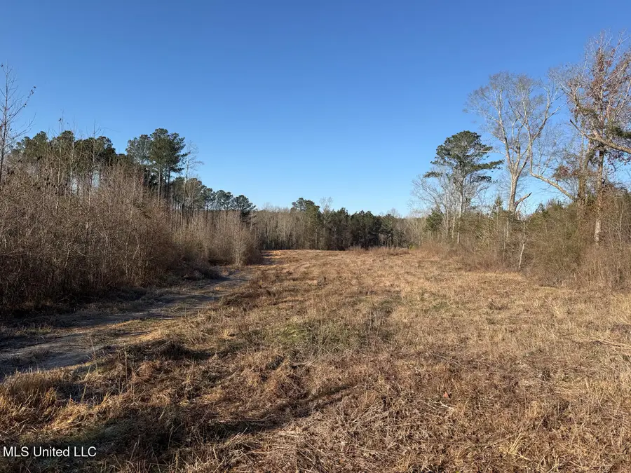 5547 Rocky Point Road, Carthage, MS 39051 - #2