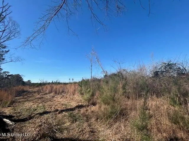 Robert Jones Road, Summit, MS 39666 - #1