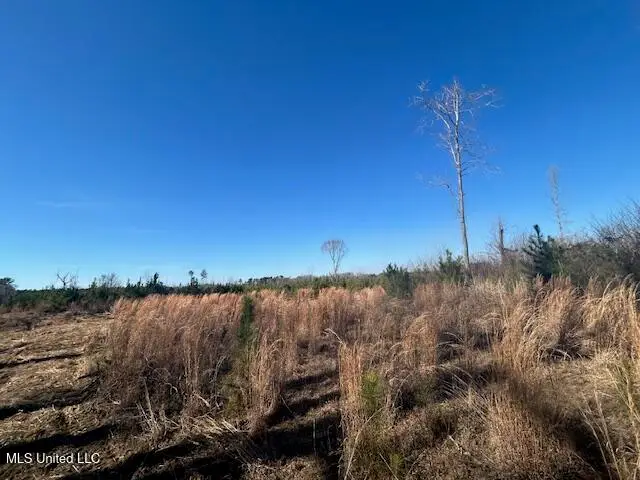 Robert Jones Road, Summit, MS 39666 - #3