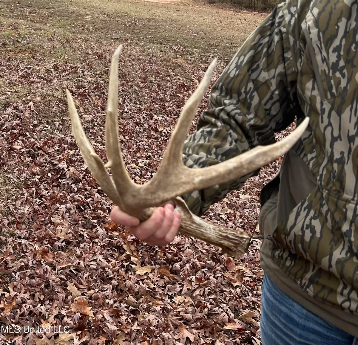 Bagasha Road, Vaiden, MS 39176 - #1