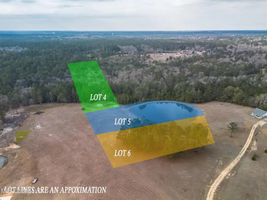 0 Kahler Lane, McHenry, MS 39561 - #2