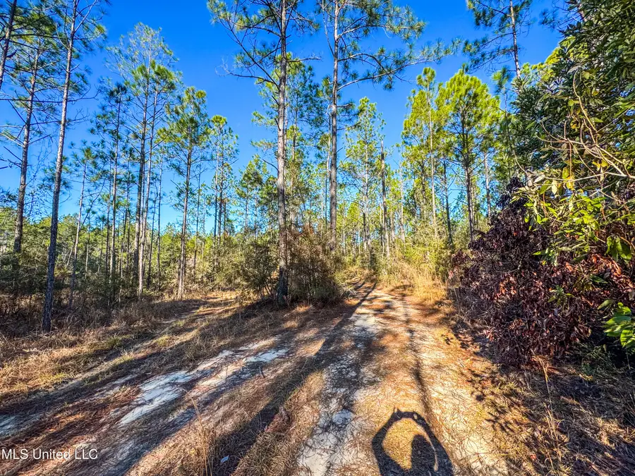 Pulpwood Road, Ocean Springs, MS 39565 - #3
