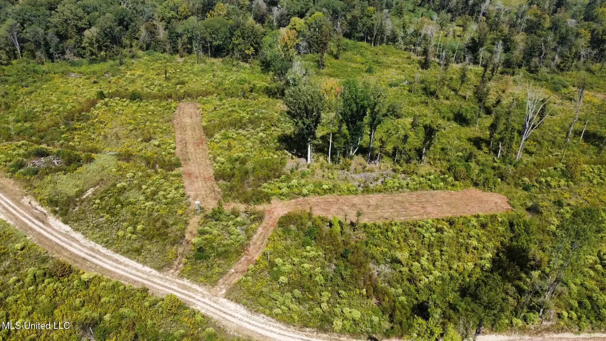 5 Highway 35, Walnut Grove, MS 39189 - Image #1