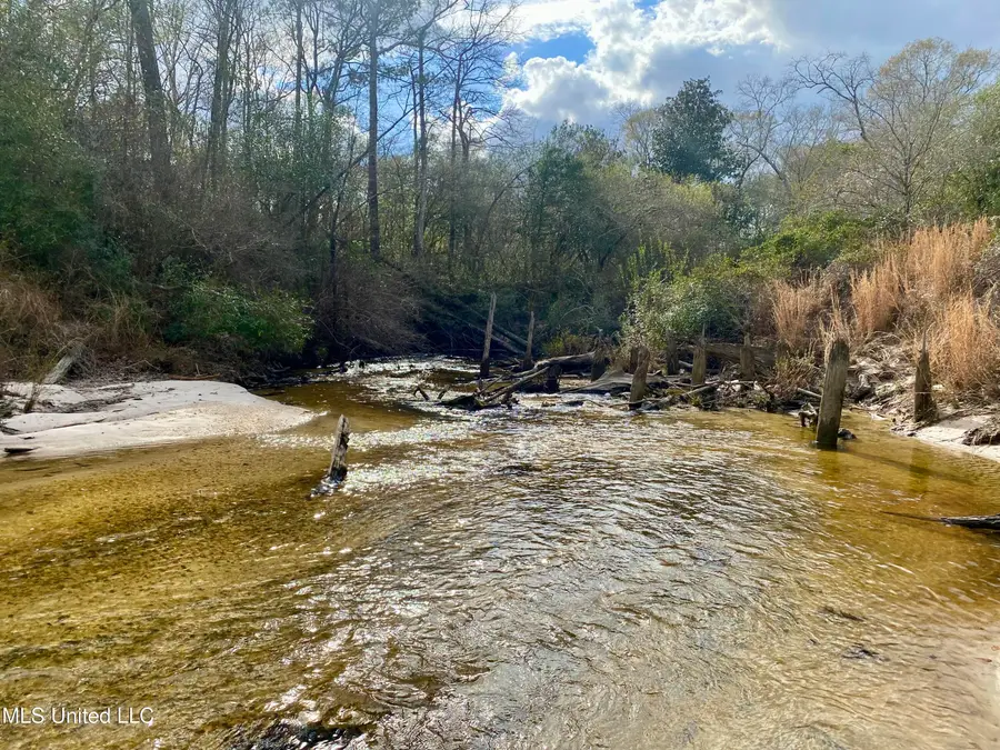 N Benville Road, Picayune, MS 39466 - Image #3