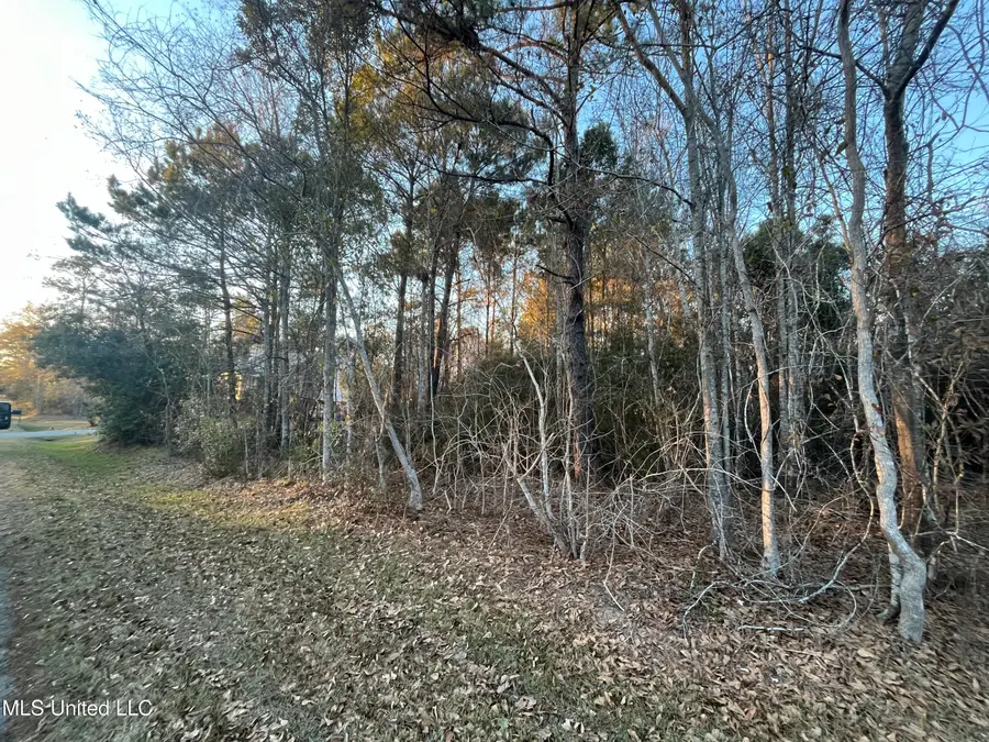 Lots 9-11 Pecan Ridge Drive, Waveland, MS 39576 - #3