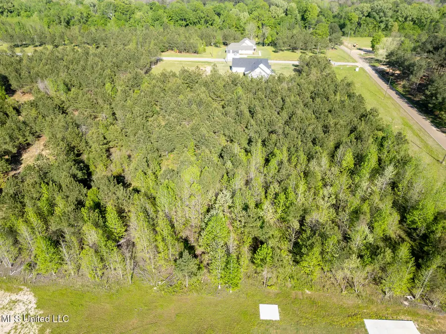 Stout Road, Canton, MS 39046 - #2