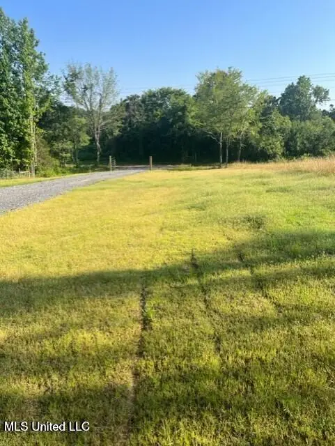 12239 Old Byhalia Road, Byhalia, MS 38611 - #3