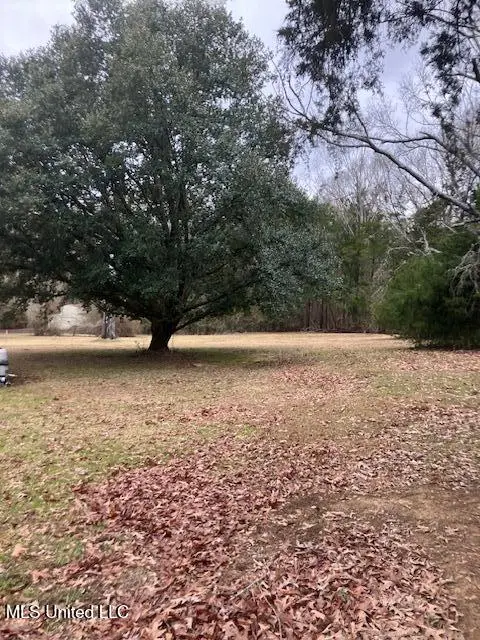 14999 Dry Grove Road, Raymond, MS 39154 - Image #3