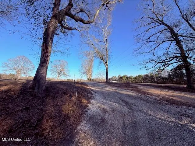 Joby Magee Road, Franklinton, LA 70438 - #1