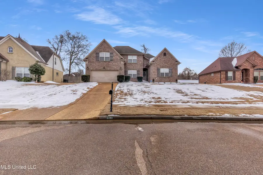 6081 Coleman Road, Olive Branch, MS 38654 - Image #2