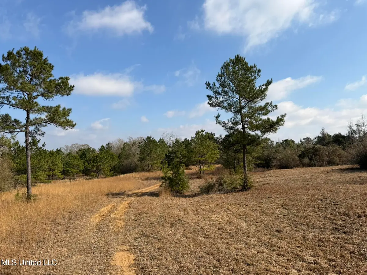 Johnson Road, Sandy Hook, MS 39478 - #1