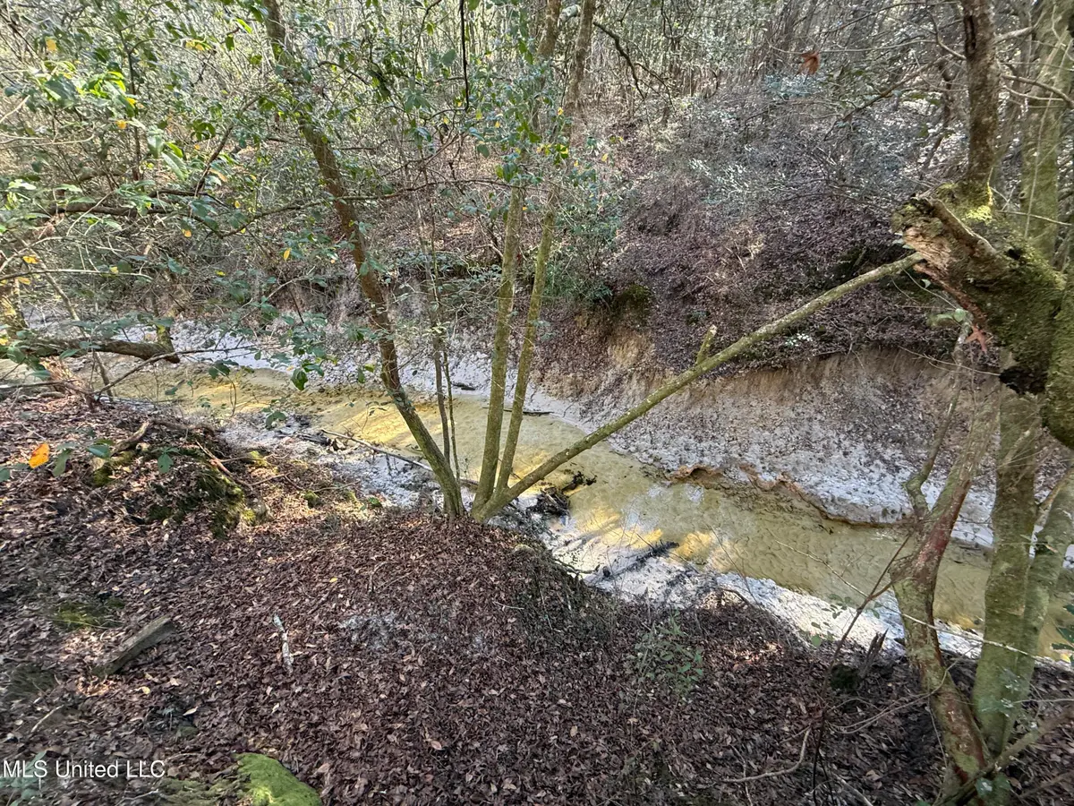 38 Ac +/- Indian Hill Road, Richton, MS 39476 - #1