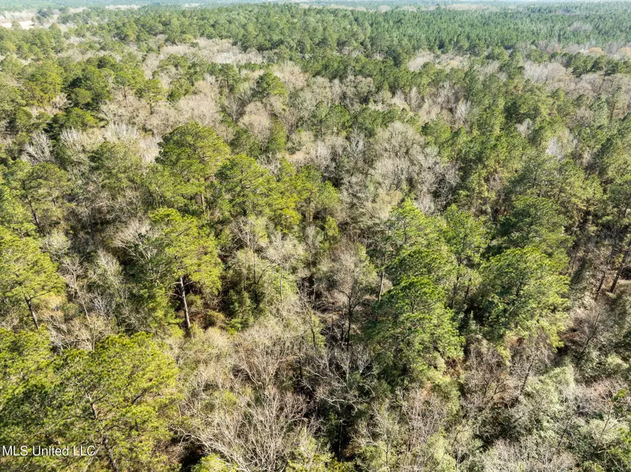 38 Ac +/- Indian Hill Road, Richton, MS 39476 - #2