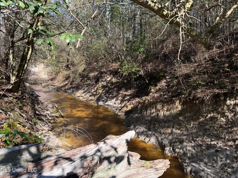 38 Ac +/- Indian Hill Road, Richton, MS 39476 - #3