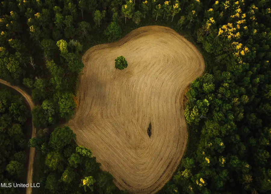 Mississippi 4, Holly Springs, MS 38635 - #3