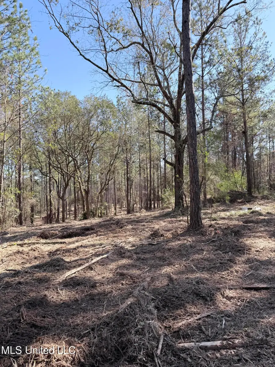 Red Bluff Road, Moss Point, MS 39562 - #2