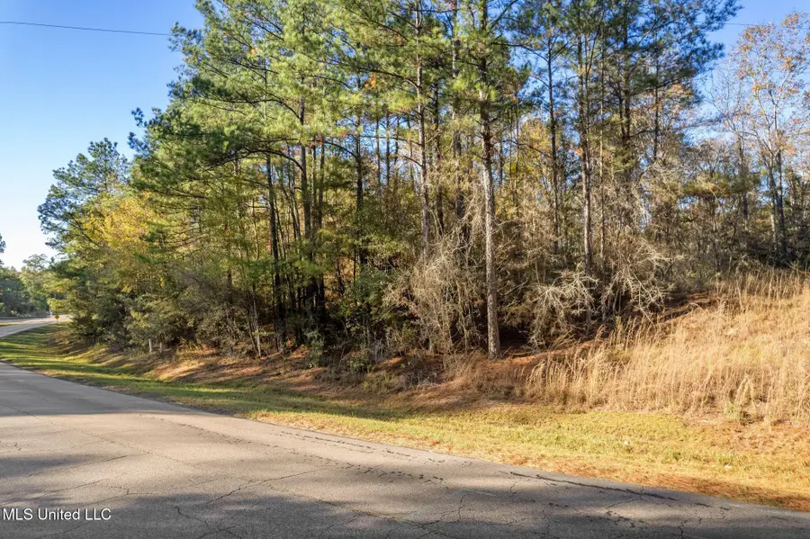 3.01 +/- Acres Old Okahola School Road, Purvis, MS 39475 - #2