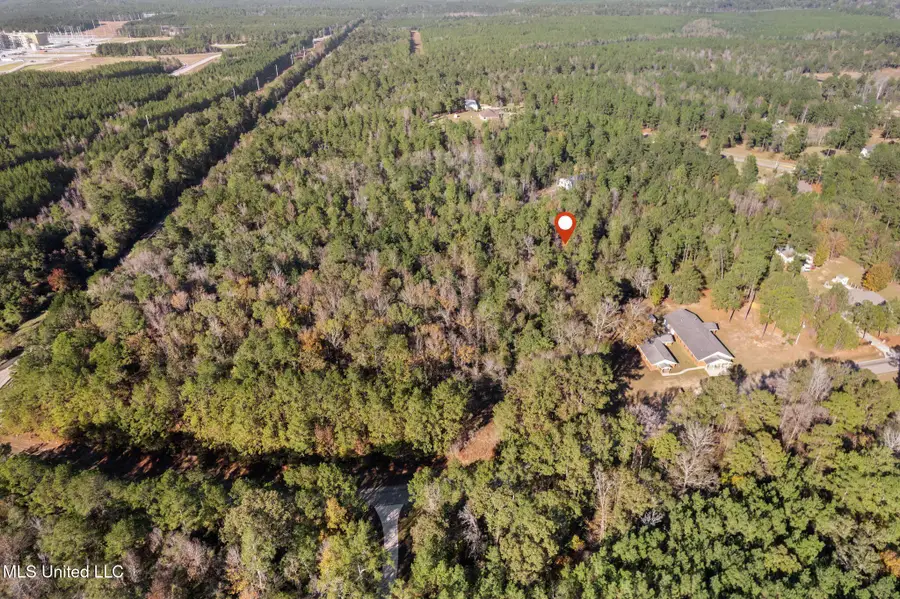 3.01 +/- Acres Old Okahola School Road, Purvis, MS 39475 - #3