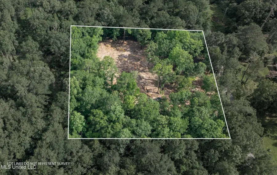 Lot 4 (3.86 Acres) Beverly Hills Drive, Hattiesburg, MS 39402 - #2