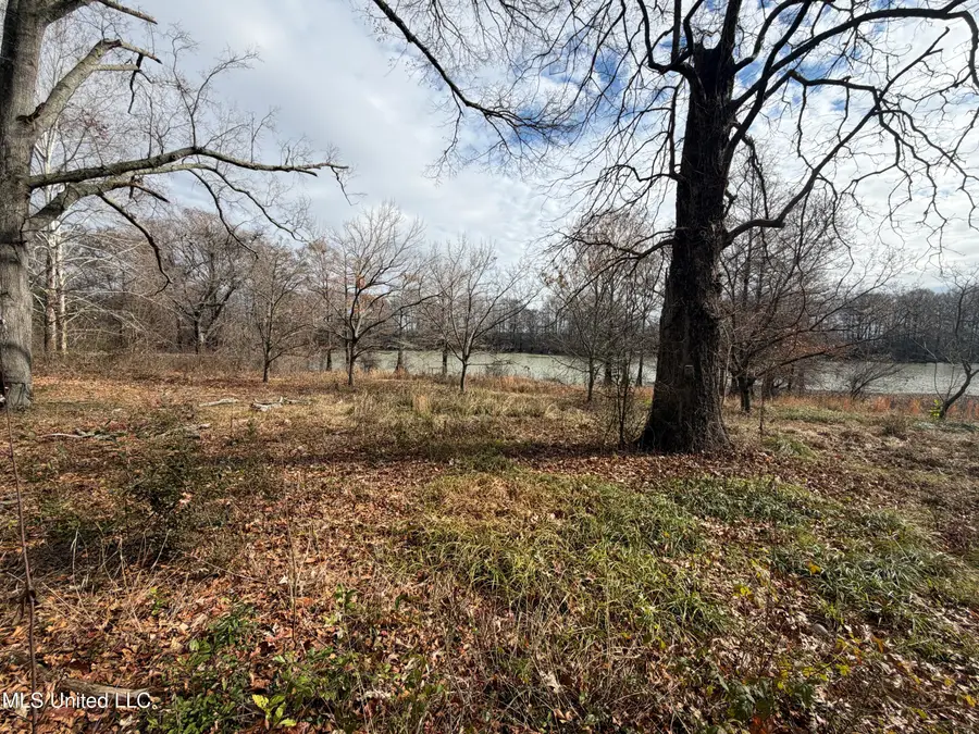 Lakeshore Drive Street, Itta Bena, MS 38941 - #2