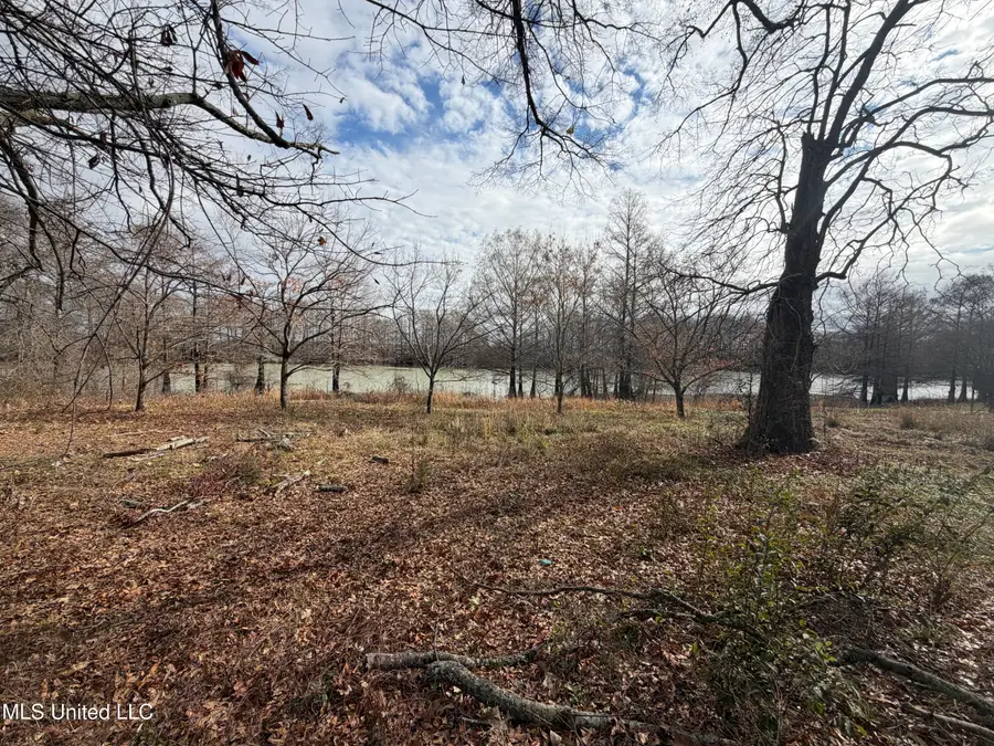 Lakeshore Drive Street, Itta Bena, MS 38941 - #3