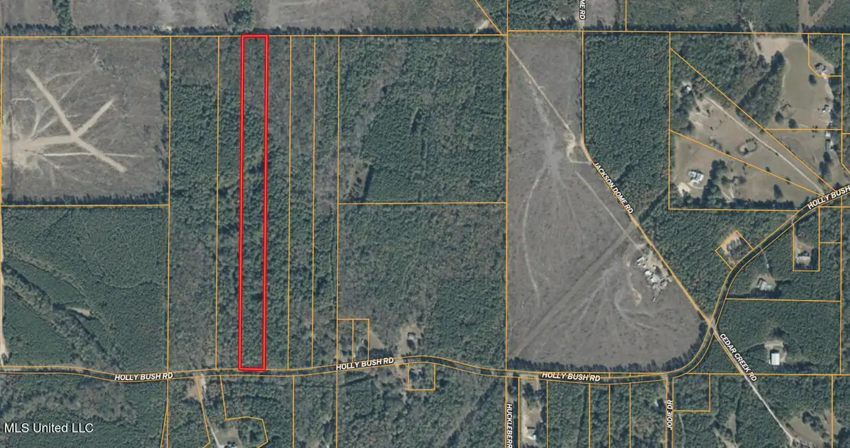 0000 Holly Bush Road, Pelahatchie, MS 39145 - #1