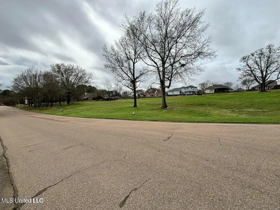 Northbay Cove, Madison, MS 39110 - #2