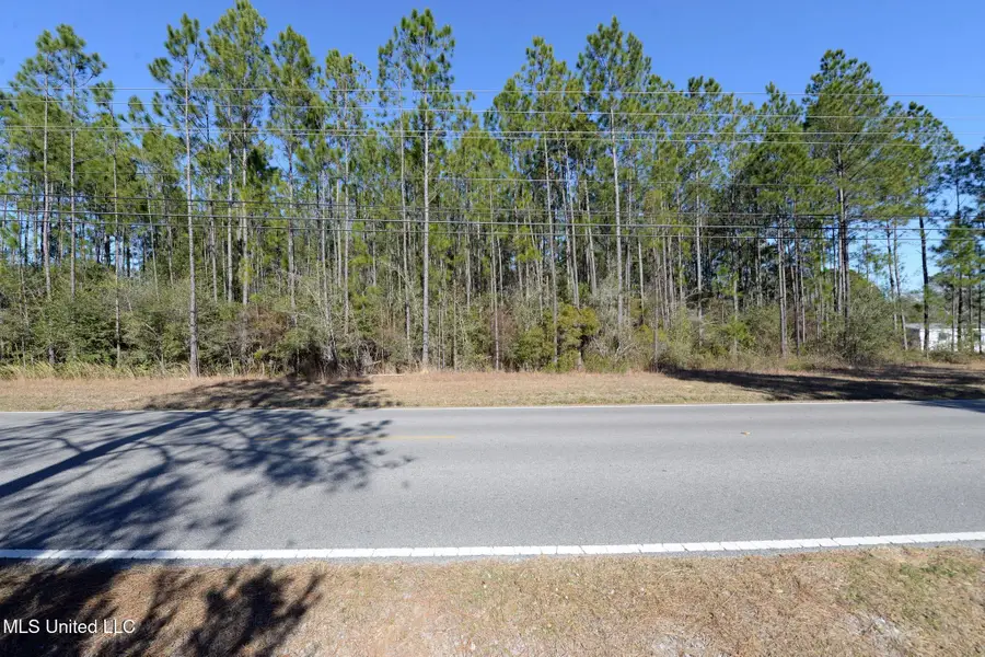 Poticaw Bayou Road, Vancleave, MS 39565 - #3