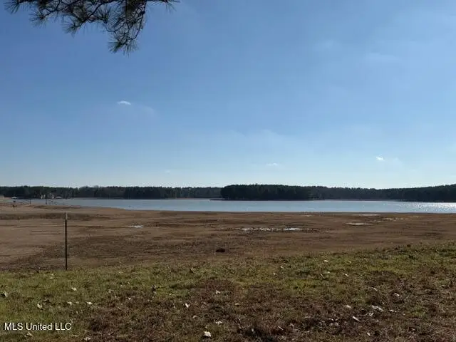 Bishop Point, Madison, MS 39110 - #1
