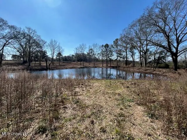 Sawmill Road, Sandy Hook, MS 39478 - #1