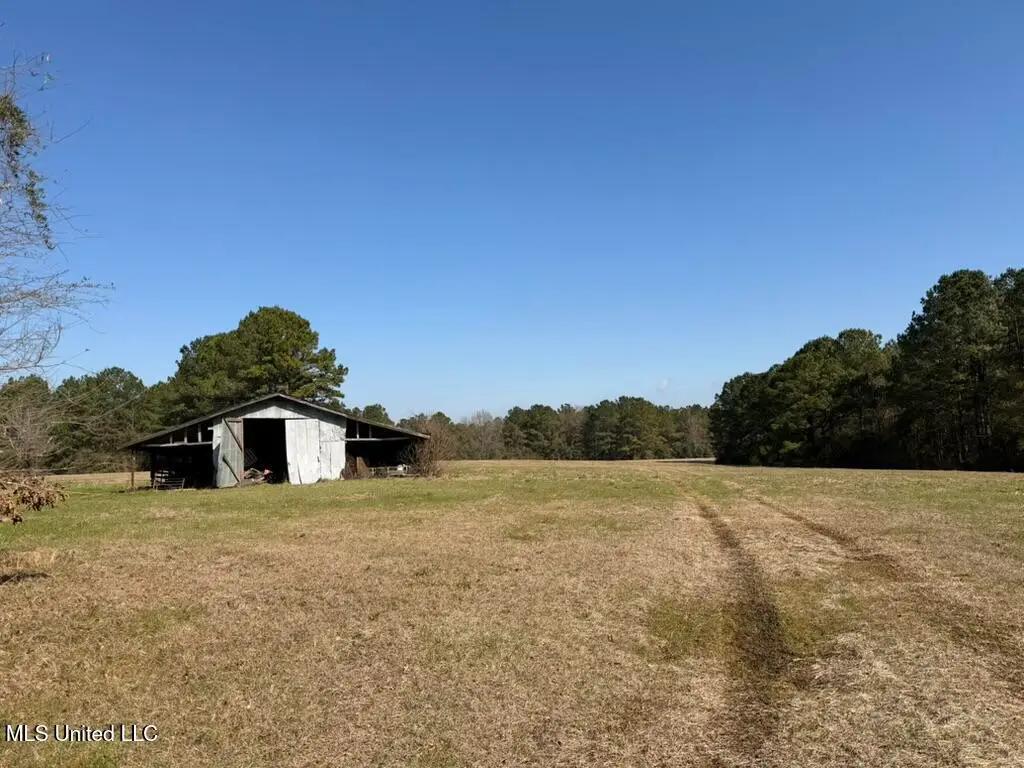Water Tank Road, Sandy Hook, MS 39478 - #1