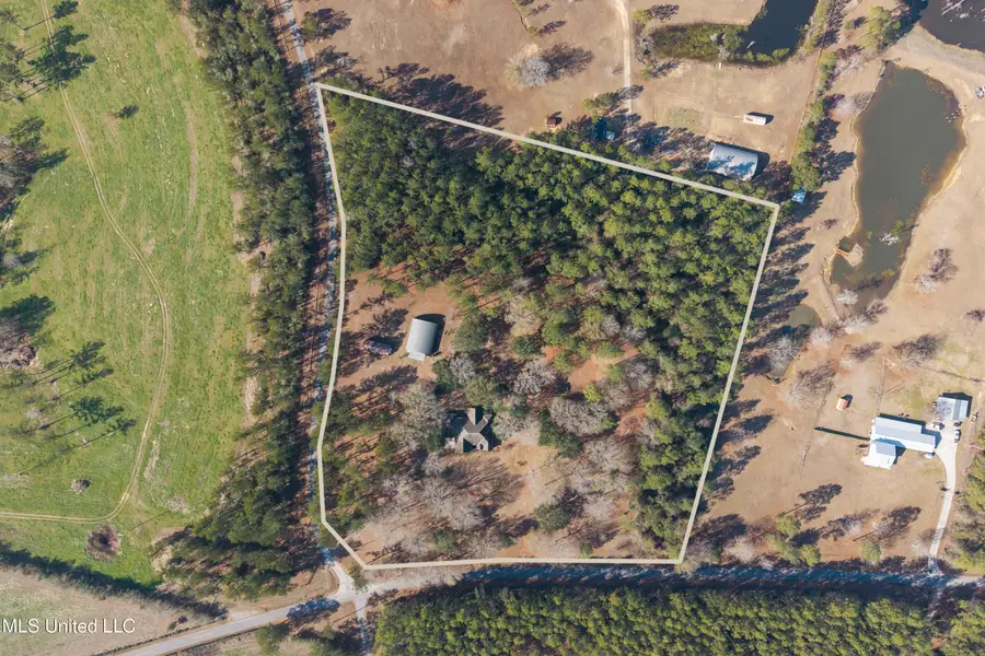 20401 Farm Road, Vancleave, MS 39565 - #3