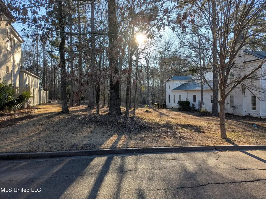 121 Azalea Street, Madison, MS 39110 - #3