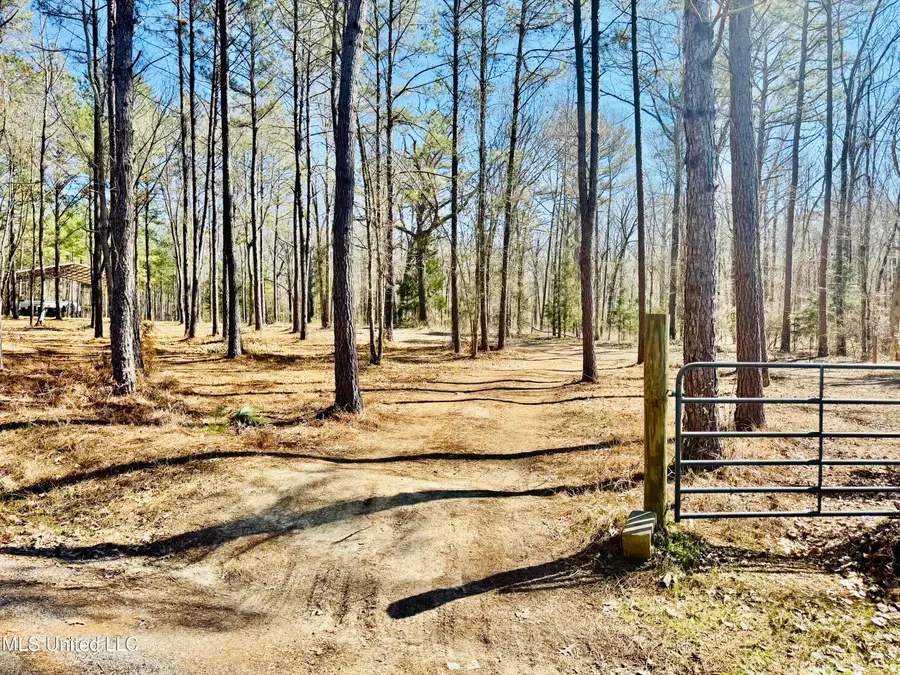 104 Mamie Mangum Road, Florence, MS 39073 - #3