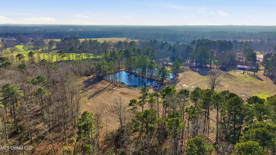 254 Red Allen Road, Brandon, MS 39042 - Image #2